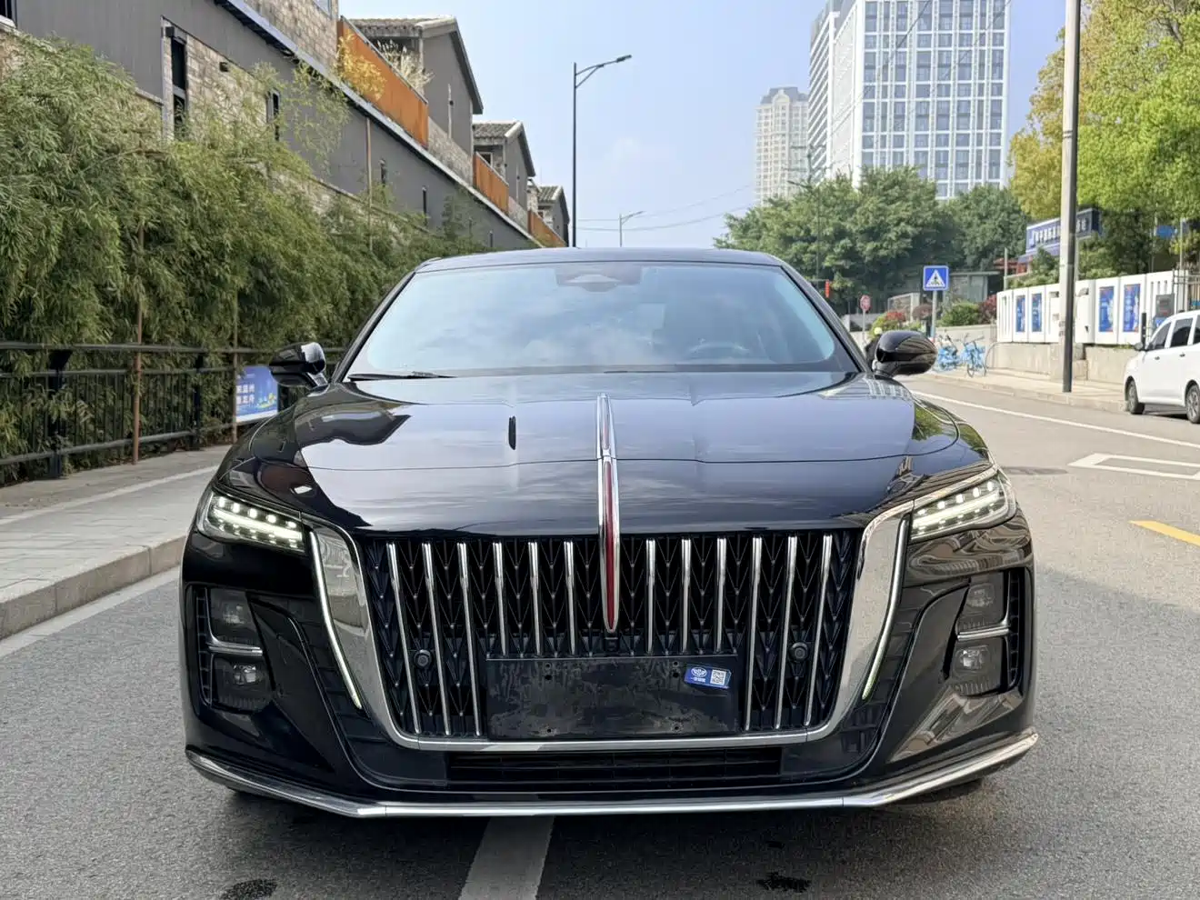 Hongqi H5 2025 1.5T DCT Flag Rhythm 500,000 Units Memorial Edition фото 2