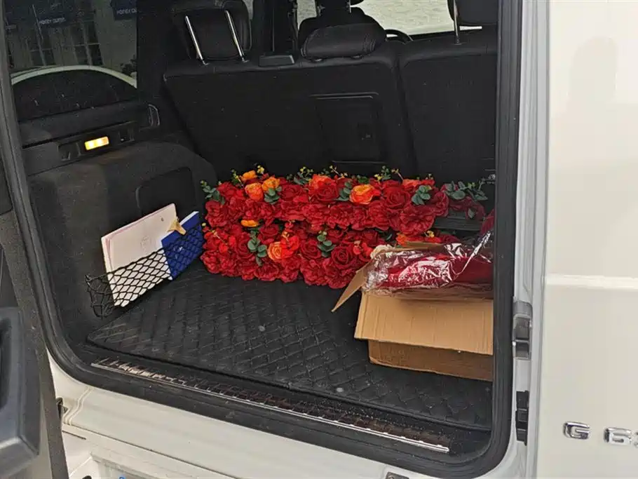 MERCEDES-BENZ G CLASS