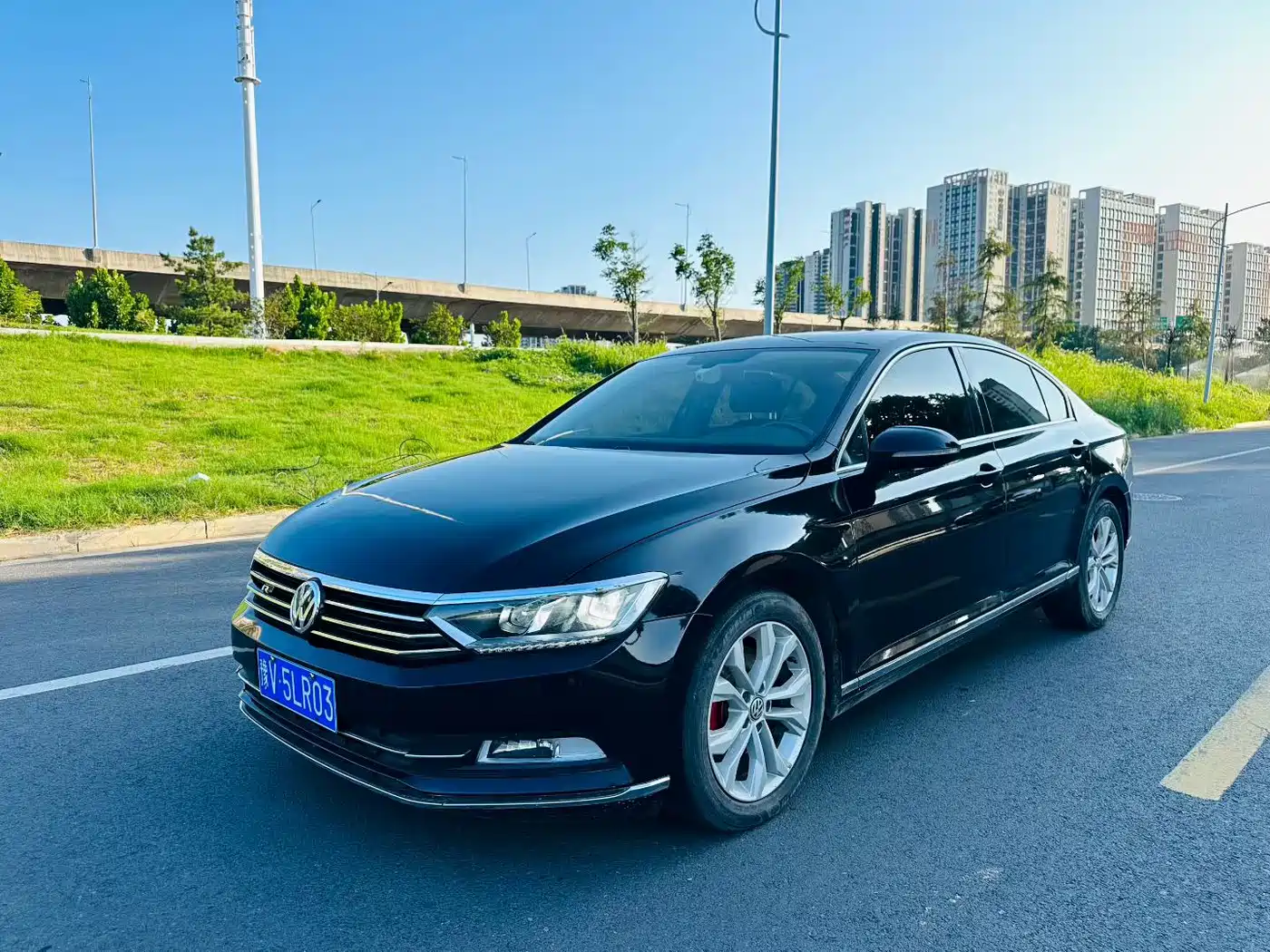 Volkswagen Magotan 2019 330TSI DSG Luxury Class China VI