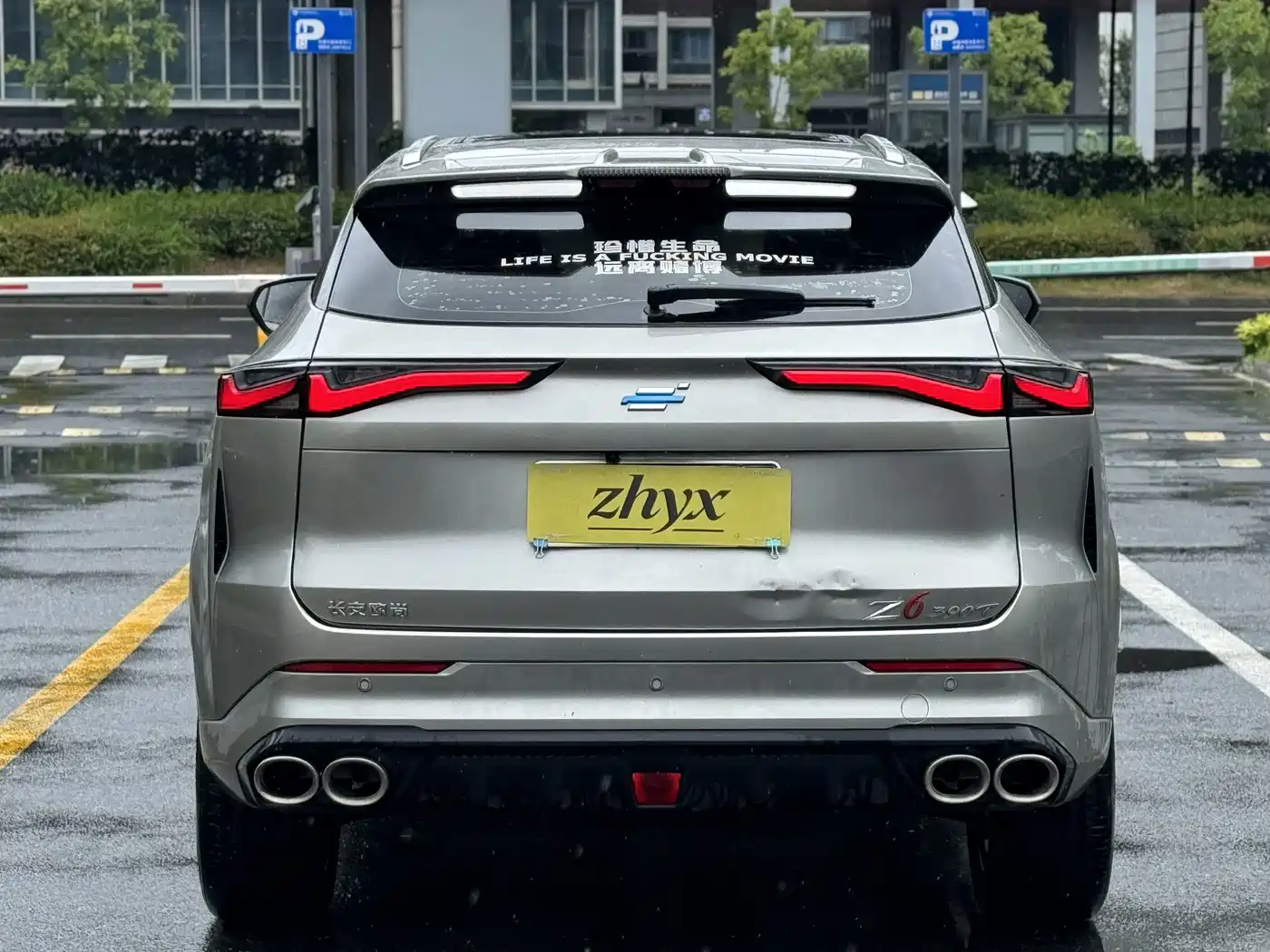 Changan Oshan Z6 2023 2023 Blue Whale 2.0T Auto Smart Drive