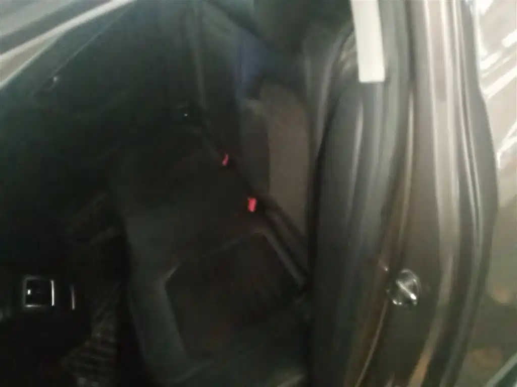 Volkswagen Magotan 2015 1.8TSI Luxury фото 17