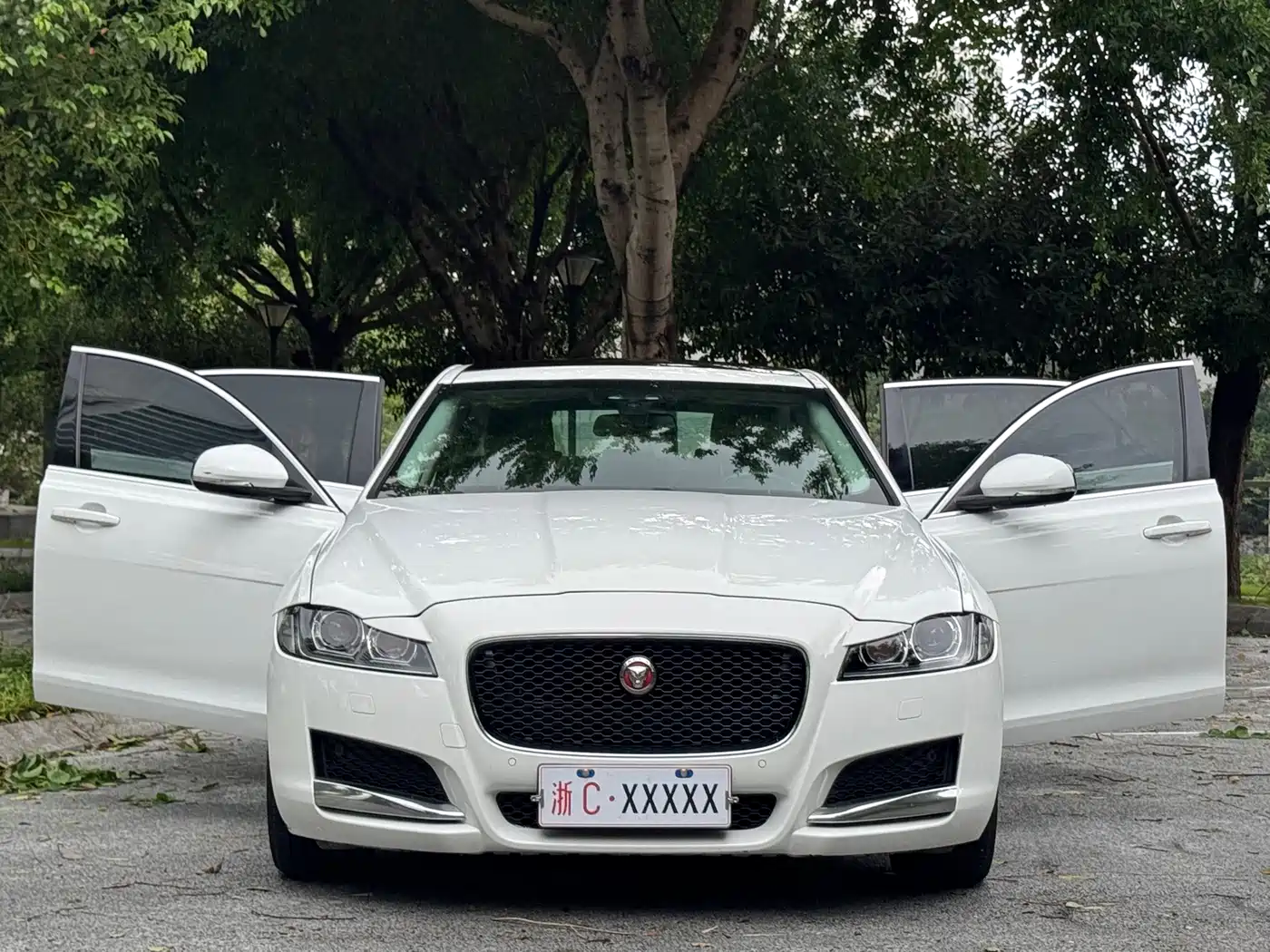 Фото 6 - Jaguar XFL
