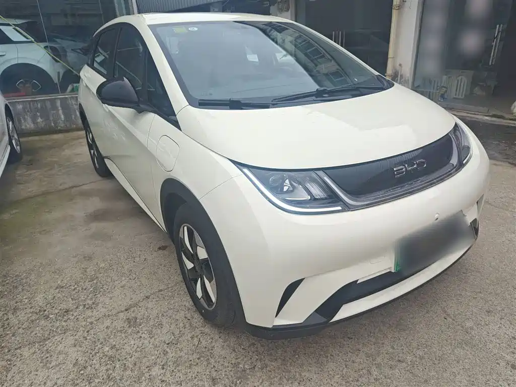 BYD Dolphin 2025 420km Freedom Edition фото 4