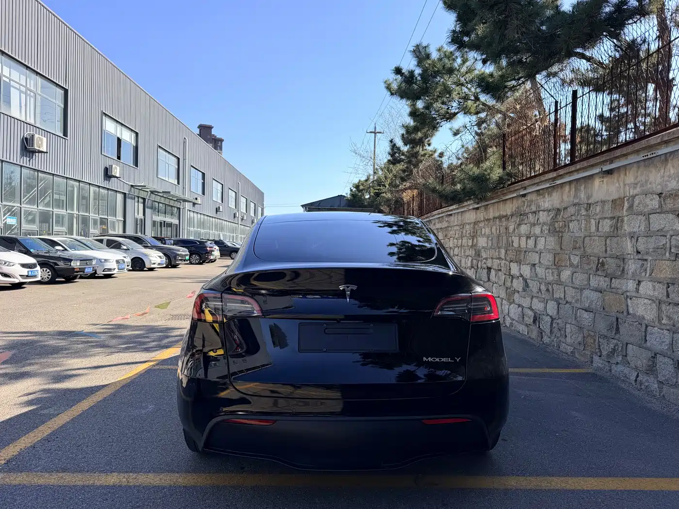 TESLA MODEL Y