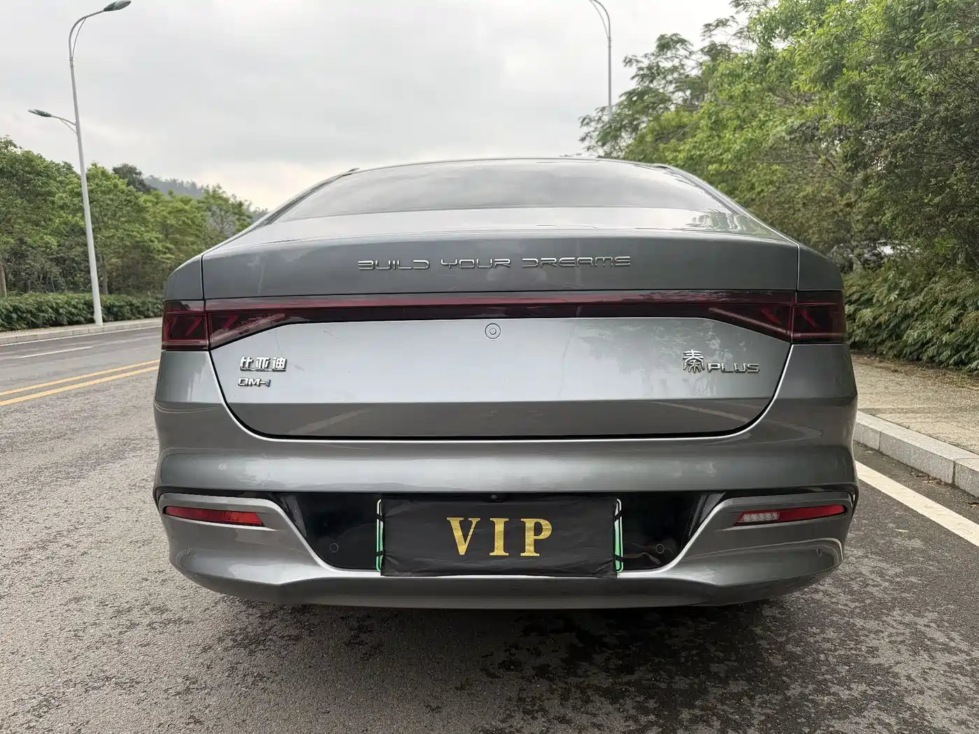 BYD Qin PLUS 2021 DM-i 120KM Flagship фото 4
