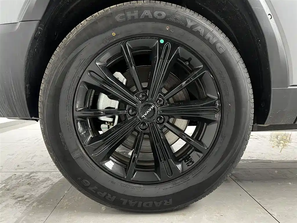 HAVAL RAPTORS NEW ENERGY