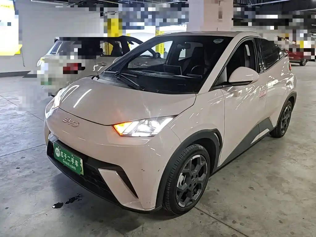 BYD Seagull 2025 305km Freedom