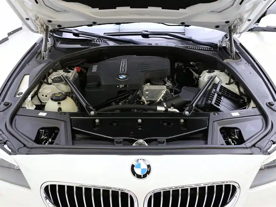 BMW 5 Series 2017 525Li Luxury Design Package фото 22