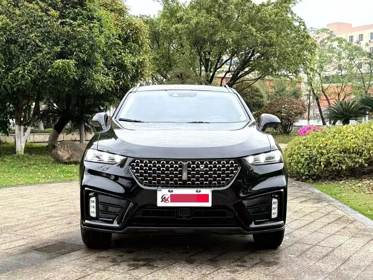 Wey VV7 2021 Model 2.0T Technology Edition фото 7