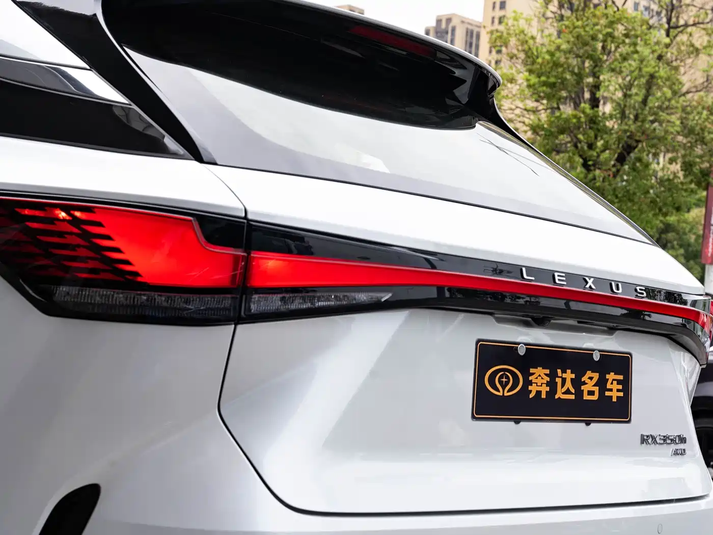 LEXUS RX