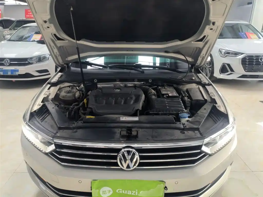 Volkswagen Magotan 2019 330TSI DSG Leading China VI фото 20