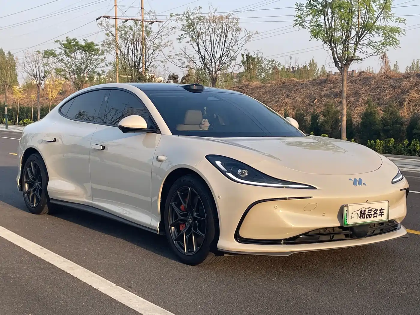 ZHIJI AUTOMOBILE ZHIJI L6