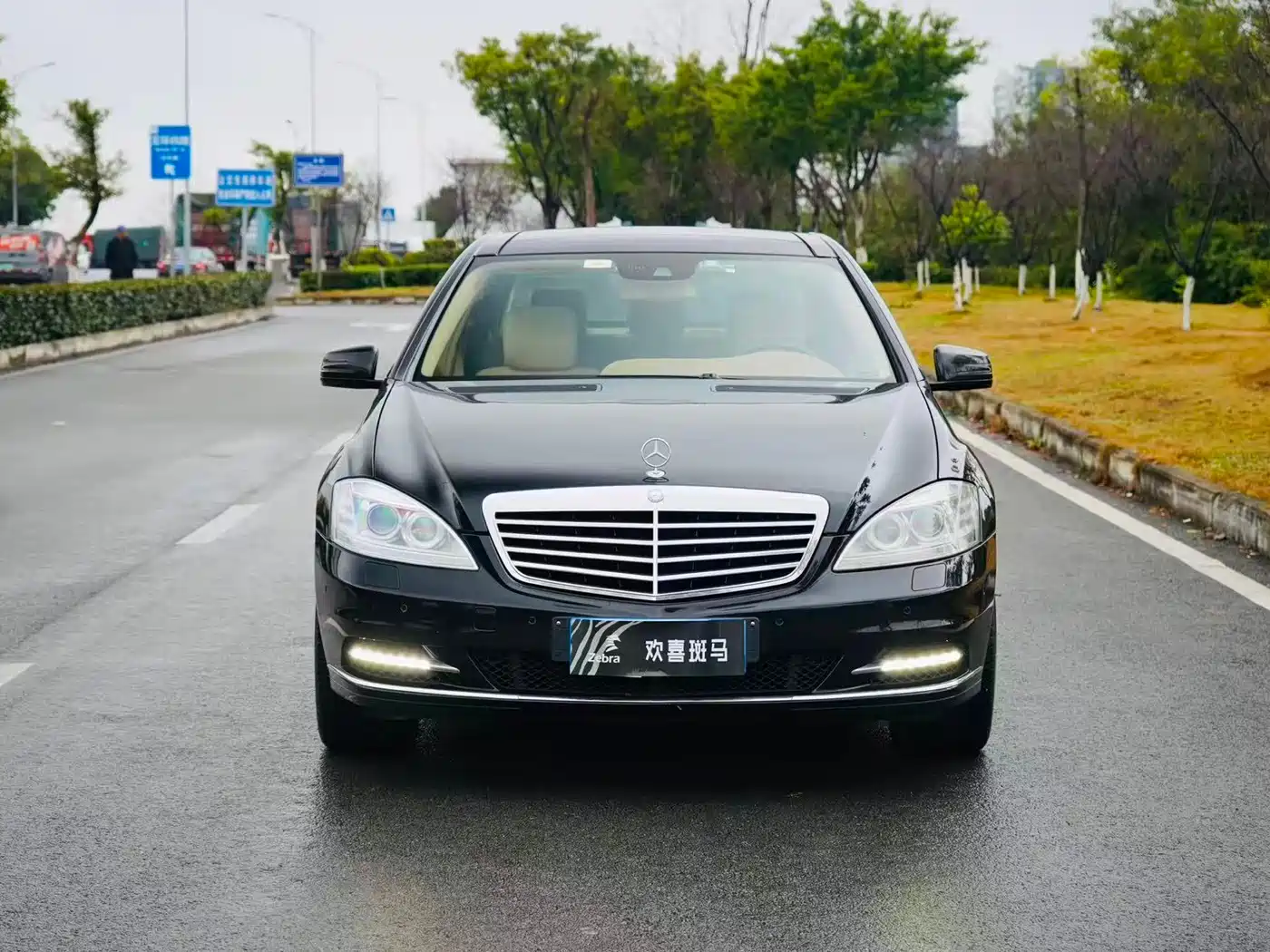 Mercedes-Benz S-Class 2010 S 300 L Premium фото 2
