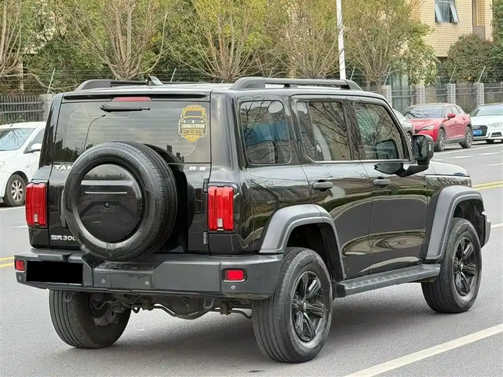 Tank 300 2021 Off-road Edition 2.0T Challenger фото 9