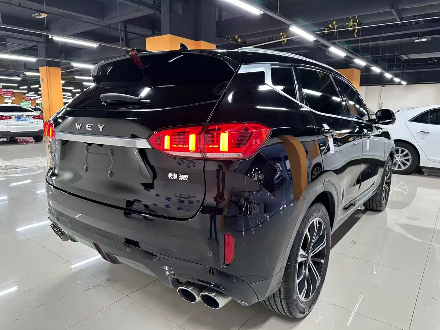 WEI PAI WEI BRAND VV6