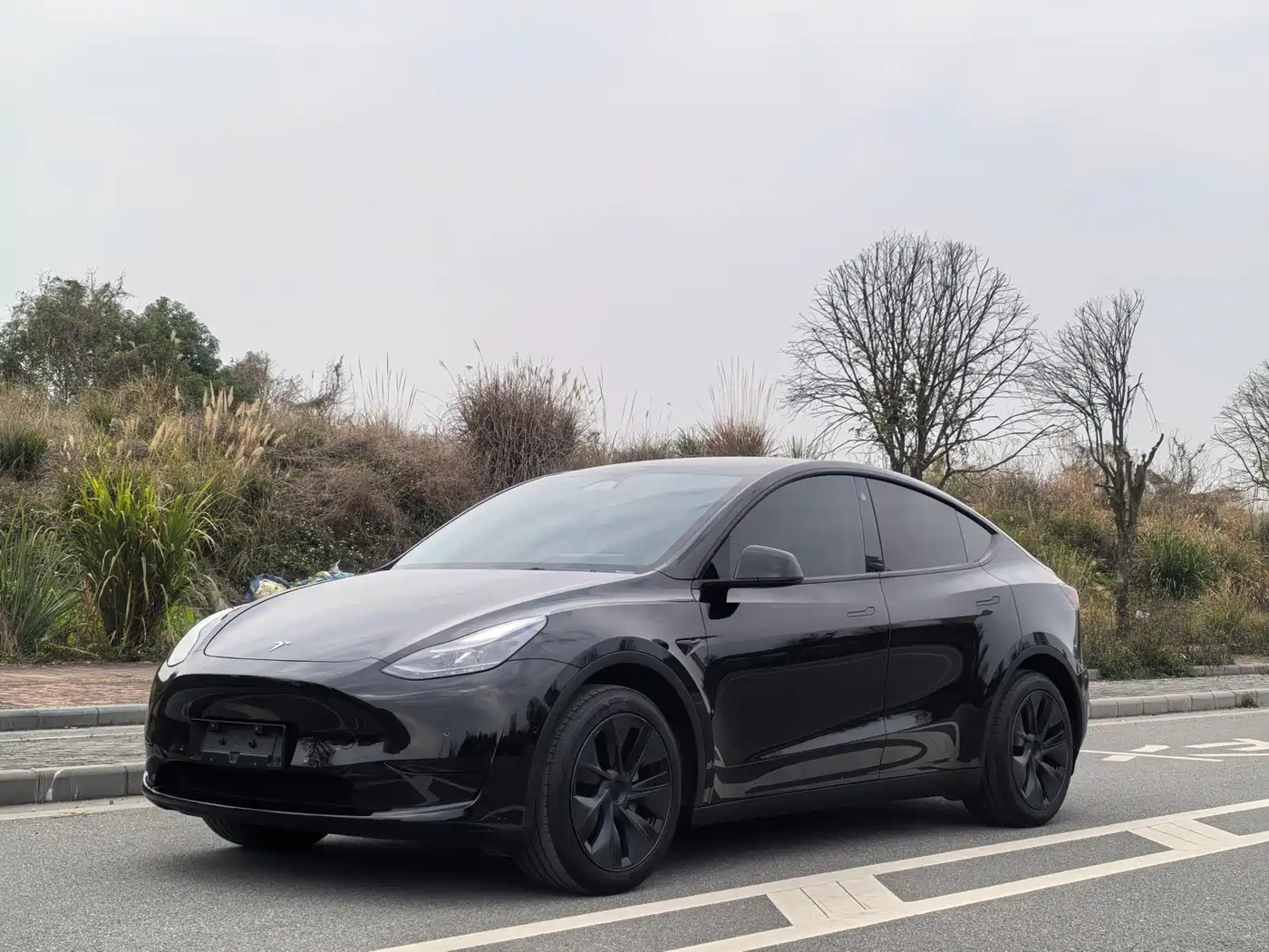Tesla Model Y 2023 Rear-Wheel Drive Edition