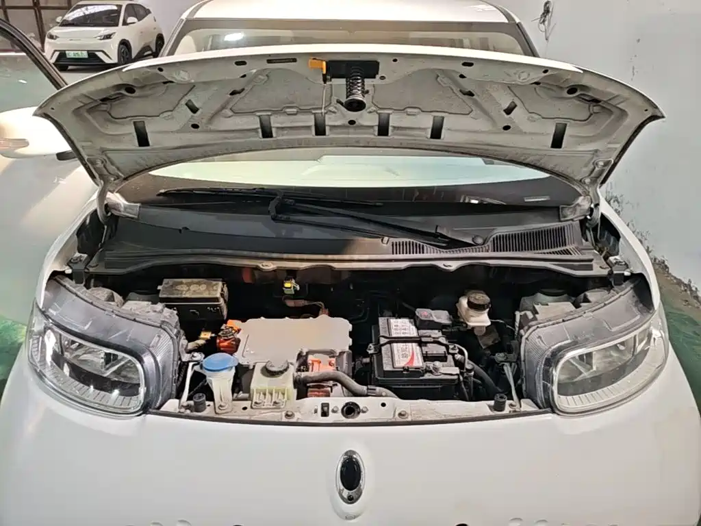 Ora White Cat 2021 2020 305km Luxury