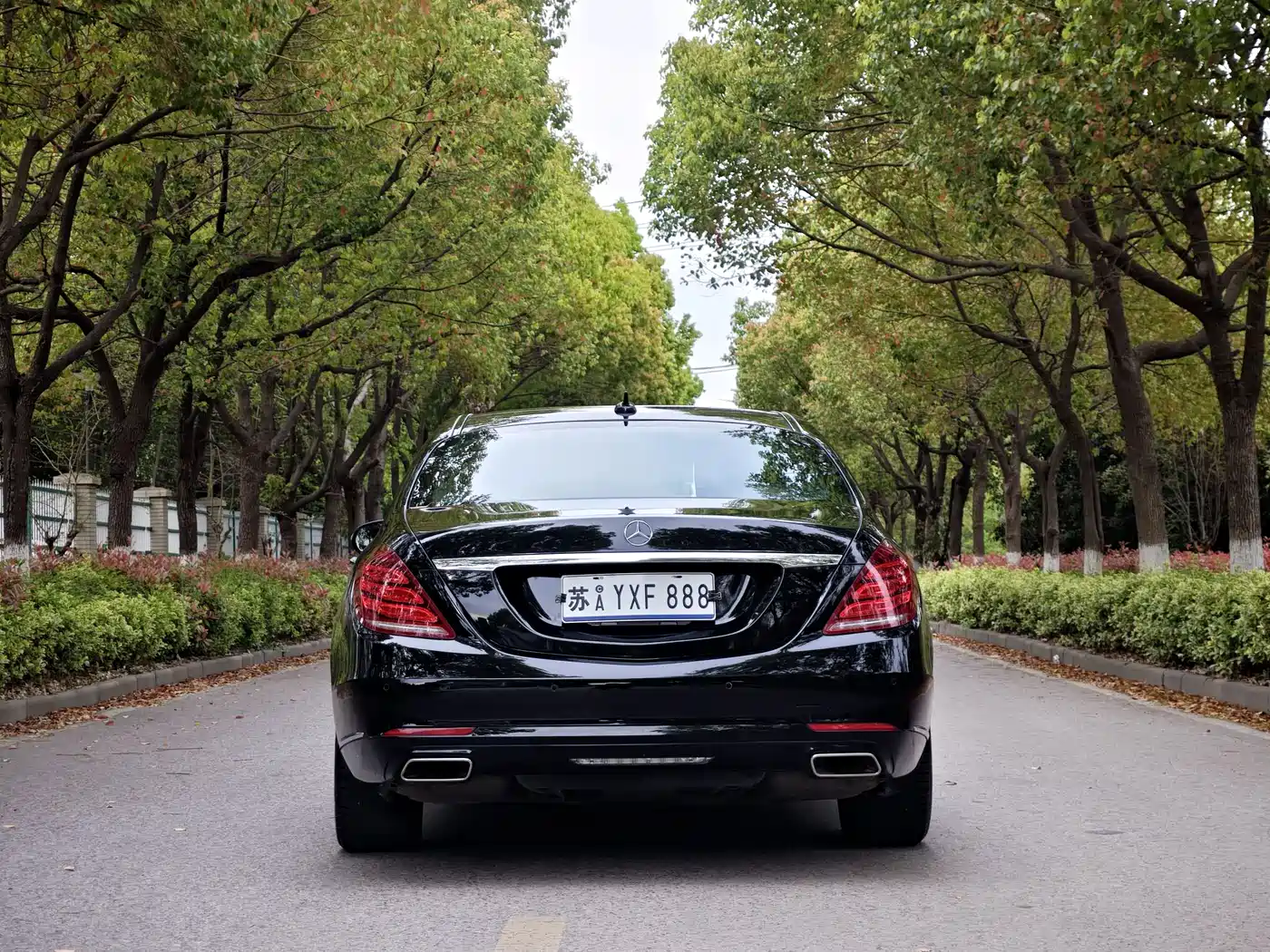 Mercedes-Benz S-Class 2014 S 320 L Business фото 5