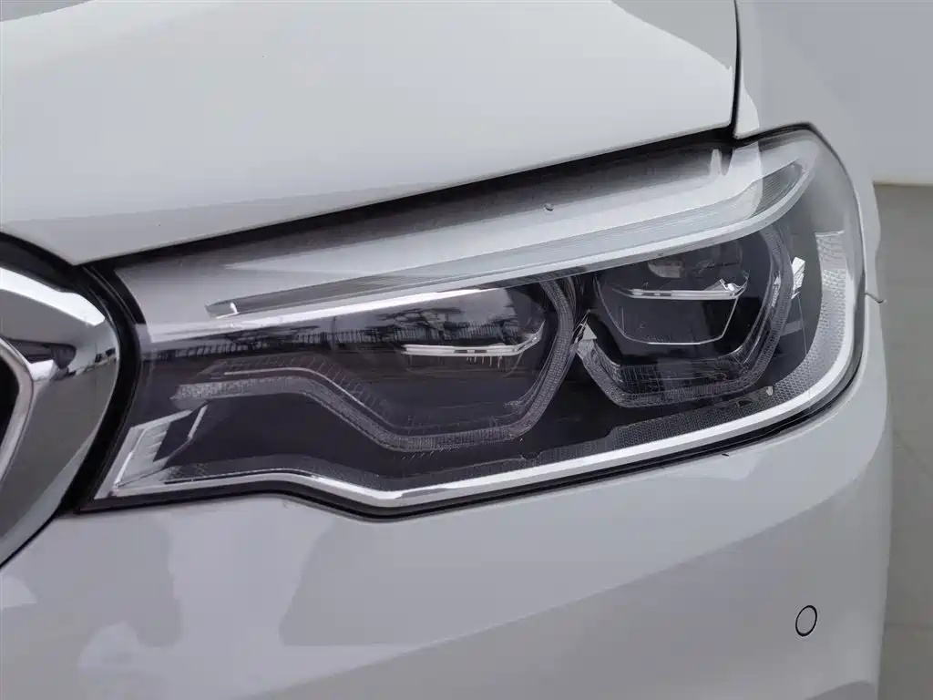 BMW 5 Series 2020 530Li Leading Luxury Package фото 7