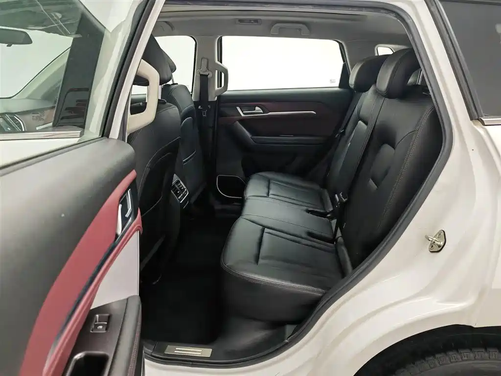 Haval H6 Coupe 2018 Red Label 1.5T Auto 2WD Ultra Luxury фото 15