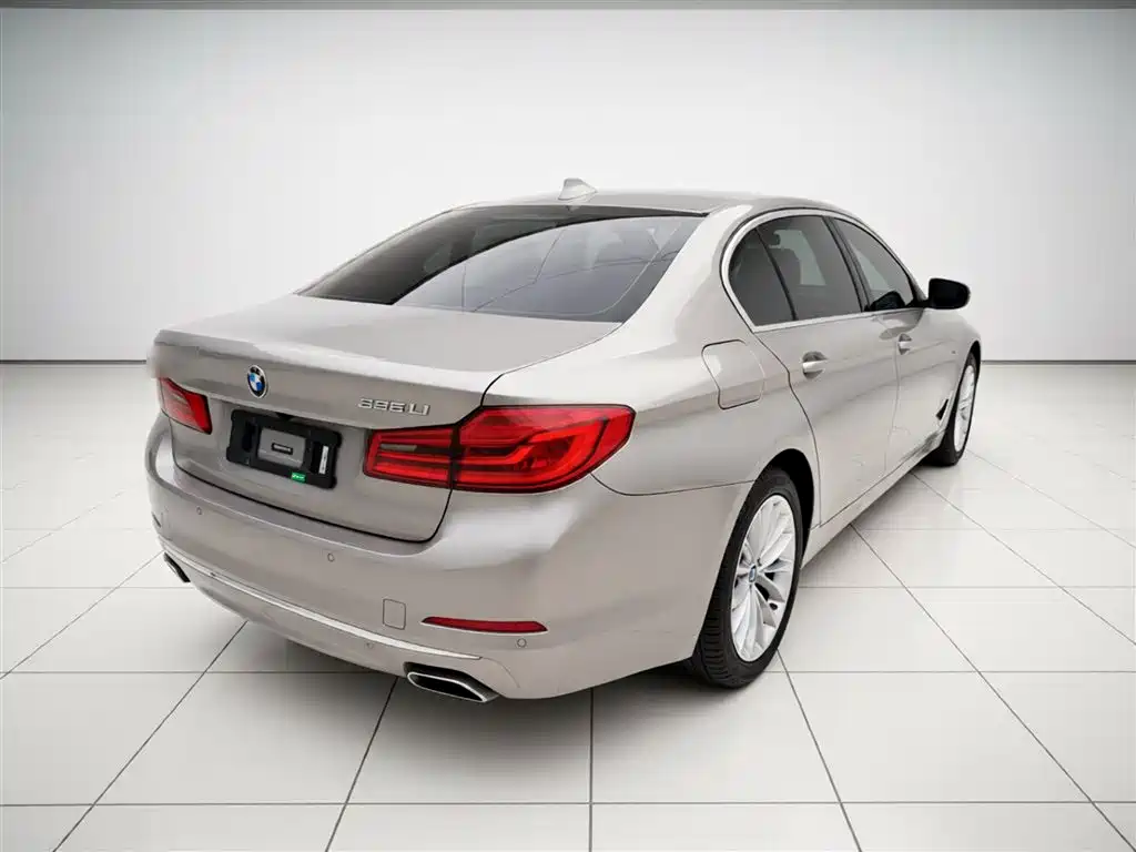 BMW 5 Series 2019 525Li Luxury Package фото 5