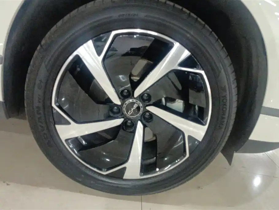 BYD Sealion 06 New Energy 2025 DM-i 170 Pilot Plus Edition фото 6