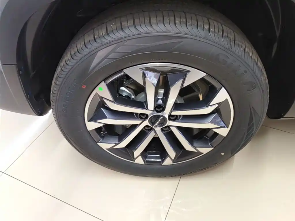 Haval Big Dog 2026 Model 1.5T High Configuration фото 23