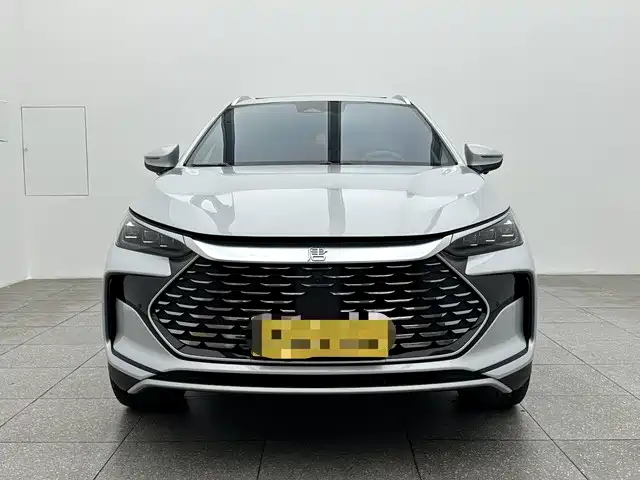 BYD Tang New Energy 2025 DM-i 115KM Prestige Type фото 2