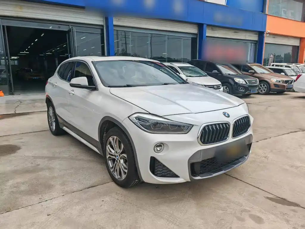 BMW X2 (Import) 2019 2019 sDrive25i Leading M Off-Road Package China VI