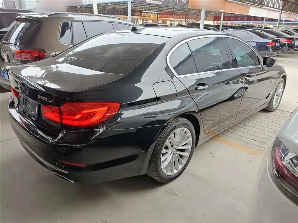 BMW 5 Series 2018 530Li xDrive Luxury Package фото 7