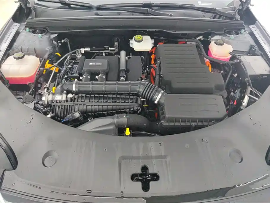 BYD Qin PLUS 2025 DM-i Smart Drive 55KM Leader фото 10
