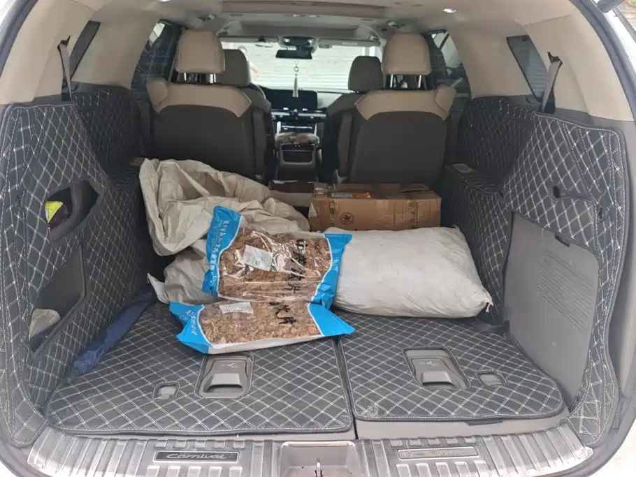 Kia Carnival 2024 2021 2.0T Luxury Tech Edition