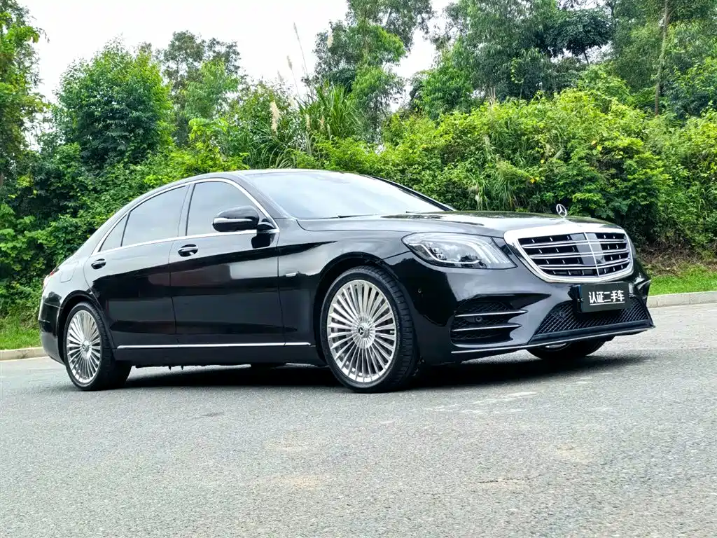 Mercedes-Benz S-Class 2020 S 350 L Business Edition Collector's Version фото 3