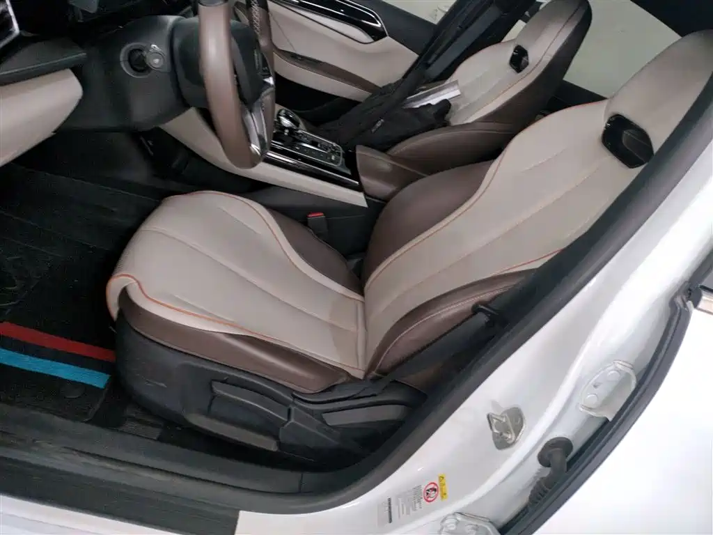 BYD Qin PLUS 2023 Champion Edition EV 420KM Leading Type фото 11