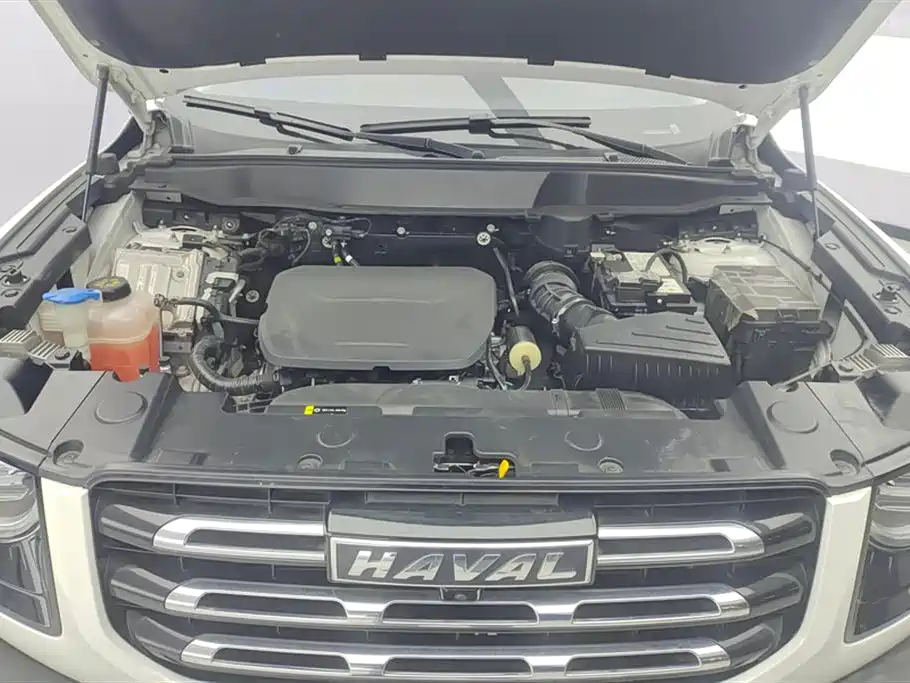 Haval Big Dog 2022 1.5T DCT FWD Border Collie Edition фото 10