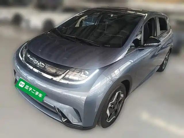 BYD Dolphin 405km, Свобода