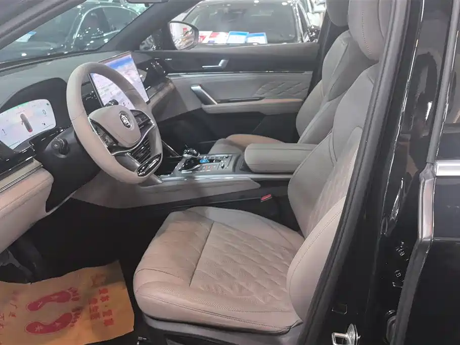 BYD Tang New Energy 2024 DM-i Honor Edition 112KM Premium фото 9