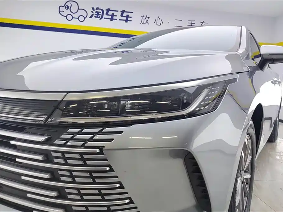BYD Destroyer 05 2024 Glory Edition DM-i 55KM Luxury фото 5