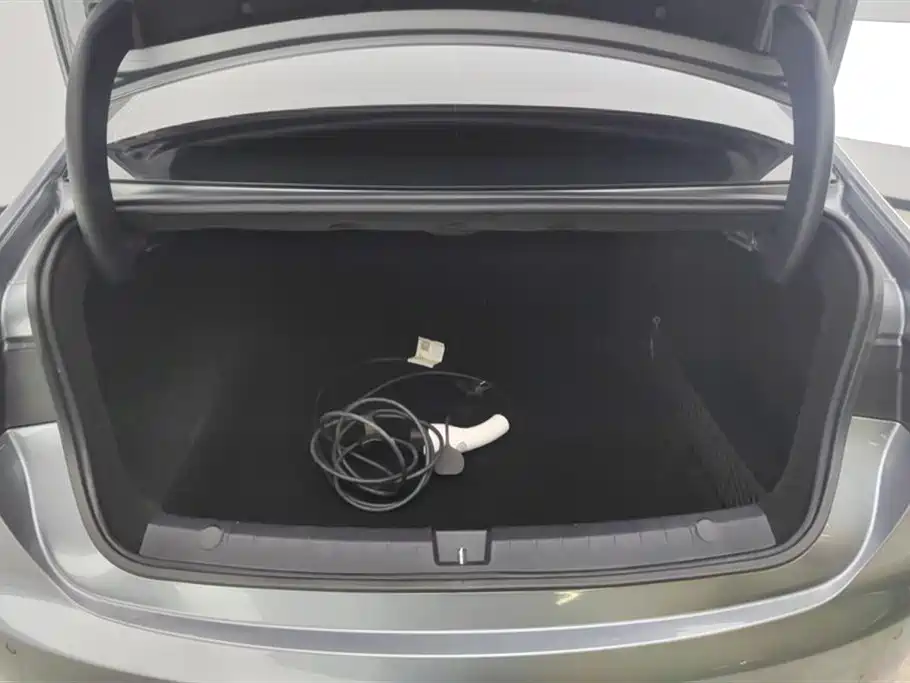 BYD Destroyer 05 2024 Glory Edition DM-i 55KM Luxury фото 4