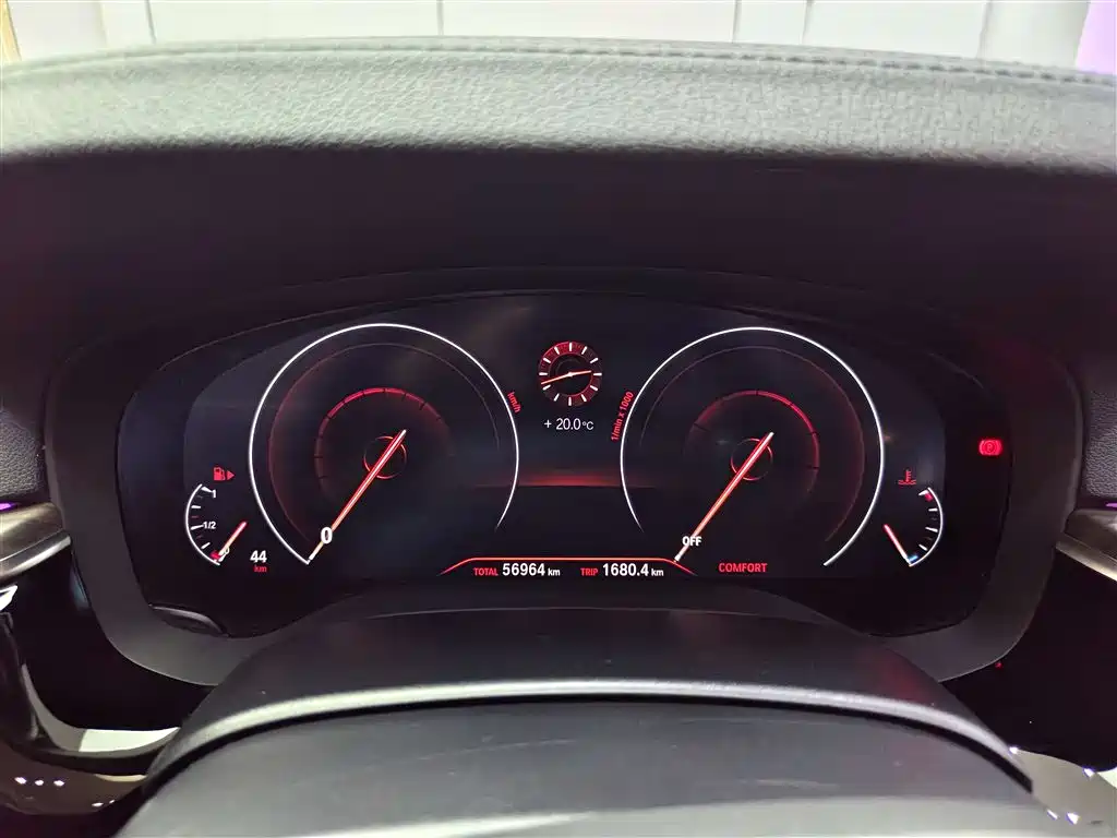 BMW 5 Series 2019 530Li Leading Luxury Package фото 18