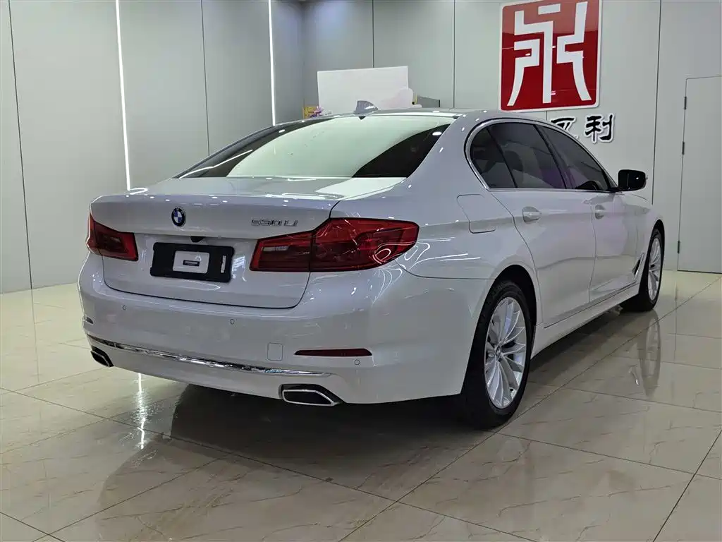 BMW 5 Series 2019 530Li Leading Luxury Package фото 6
