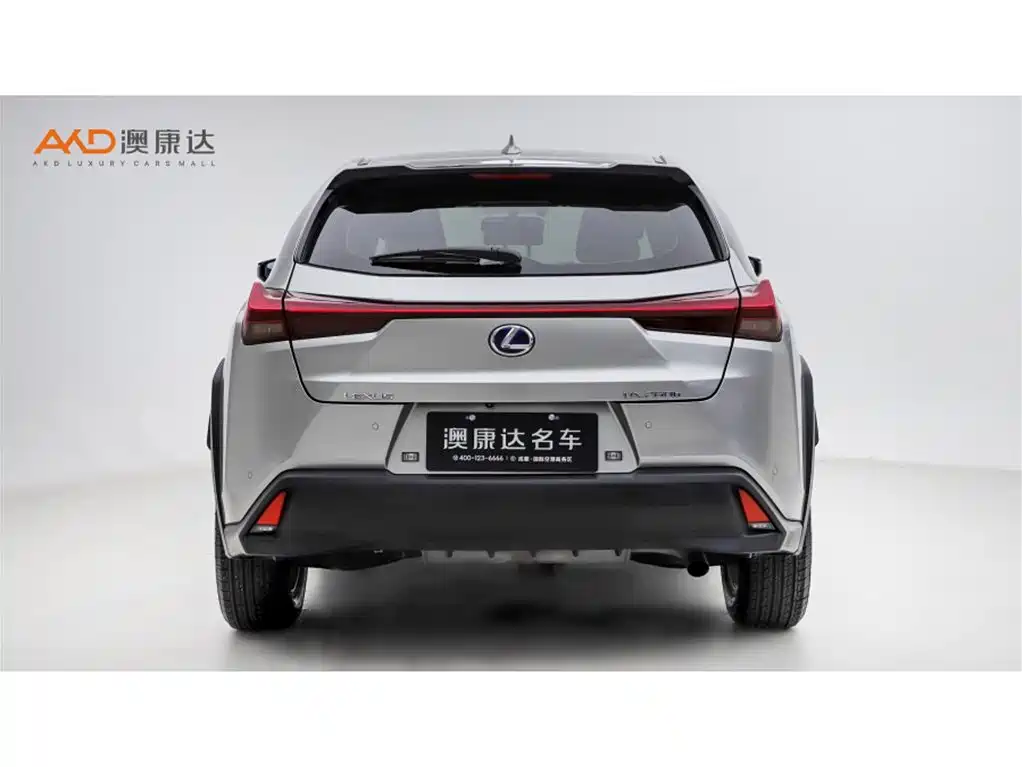 Lexus UX 2020 260h Explore Fun Edition фото 4