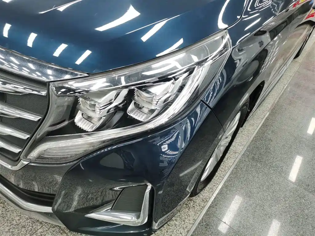 GAC Trumpchi Trumpchi M8 2020 Pilot 390T Premium Edition фото 18
