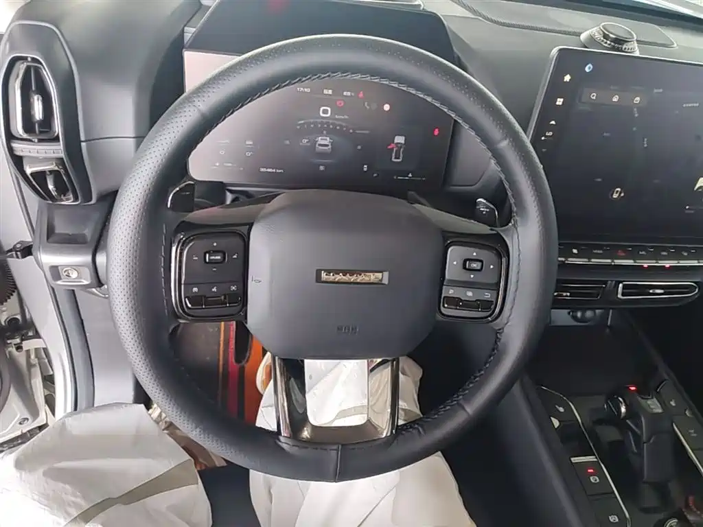 Haval Da Gou 2nd Gen 2023 2.0T AWD Wild Adventure Plus фото 9