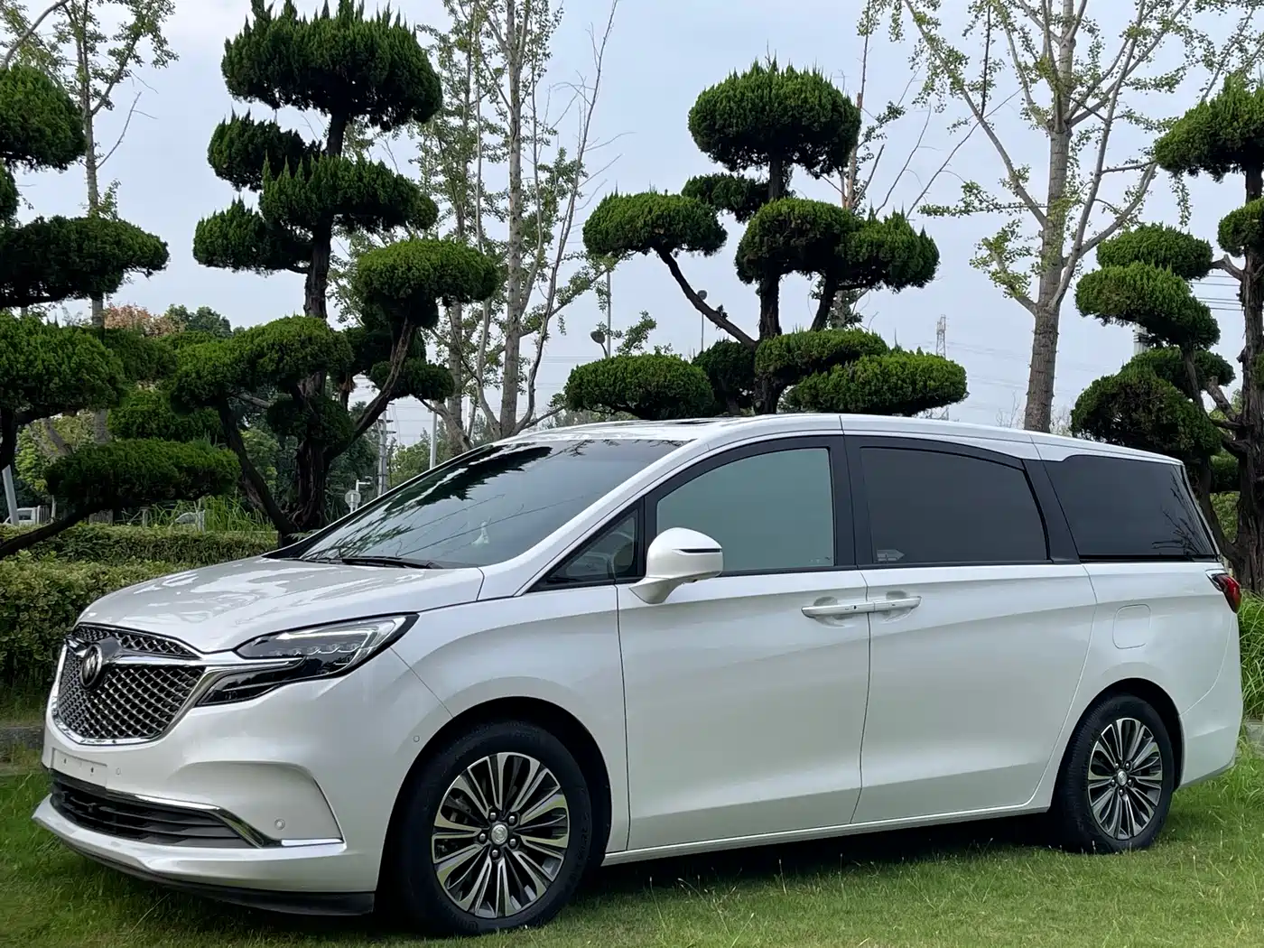 Buick GL8 2022 ES Landmark 653T Luxury фото 10