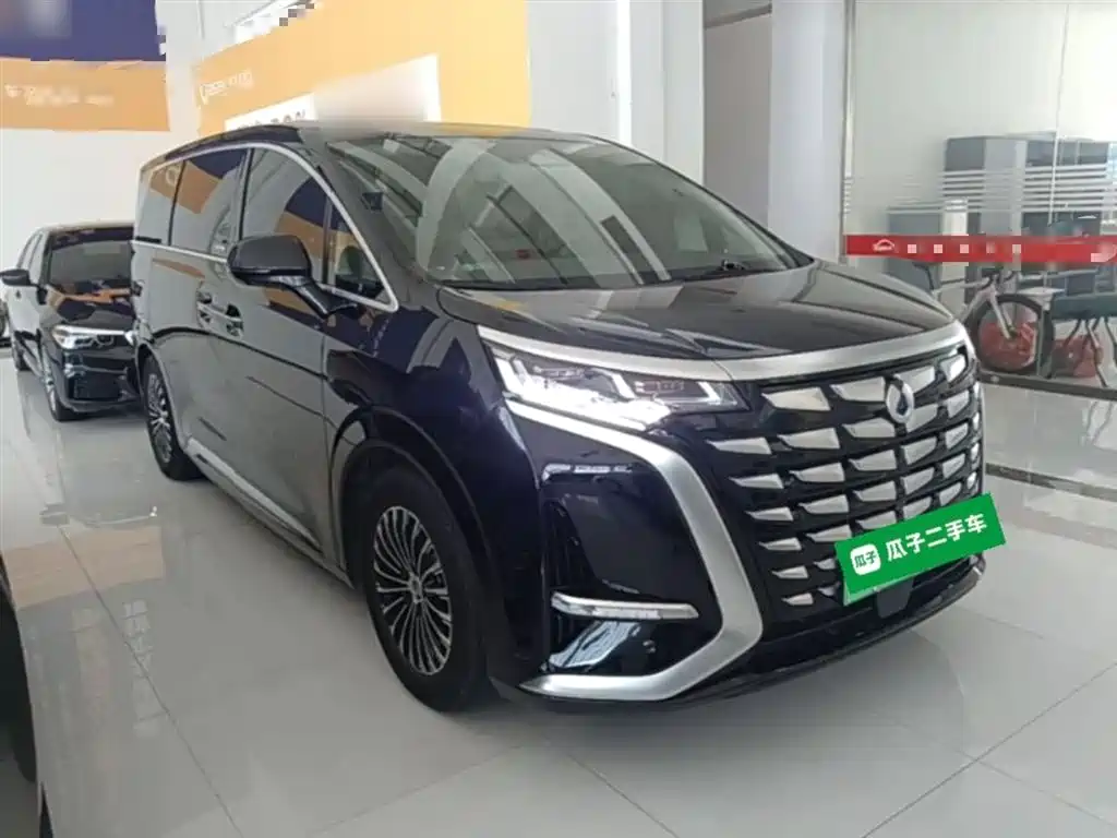 Denza D9 2022 DM-i 970 All-Wheel Drive Honor Edition фото 4