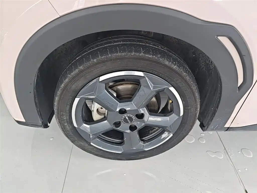 BYD Seagull 2024 Glory Edition 305km Freedom Edition фото 23