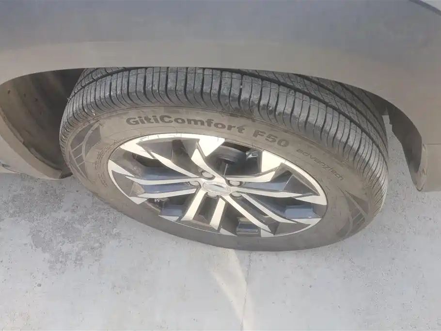 Haval Big Dog 2021 1.5T DCT 2WD Border Collie Edition фото 6