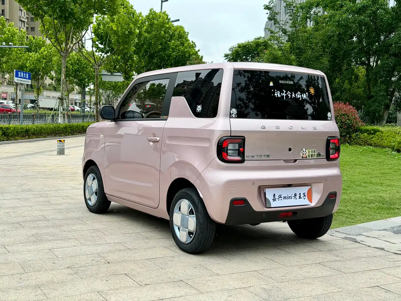 Geely Galaxy Panda 2023 2023 Panda Mini 200km Endurance Bear