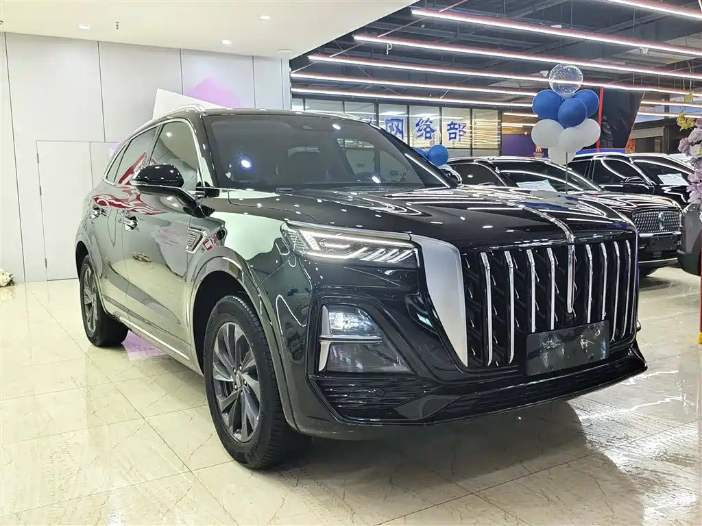 Hongqi HS5 2023 2.0T Flag Enjoy Pro Edition фото 3